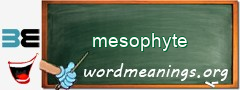 WordMeaning blackboard for mesophyte